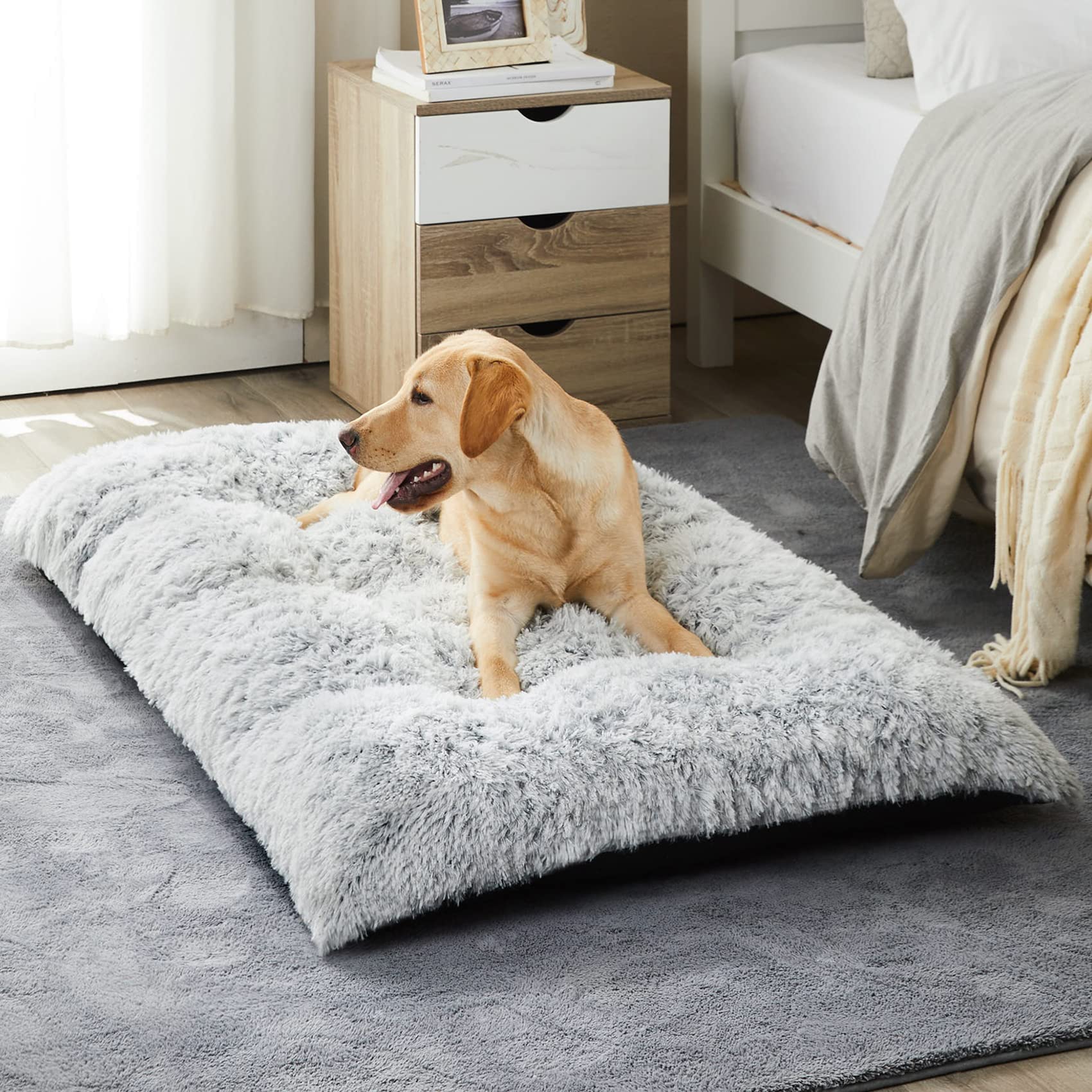 BFPETHOME dog bed large plush surface offers cozy comfort for restful naps.