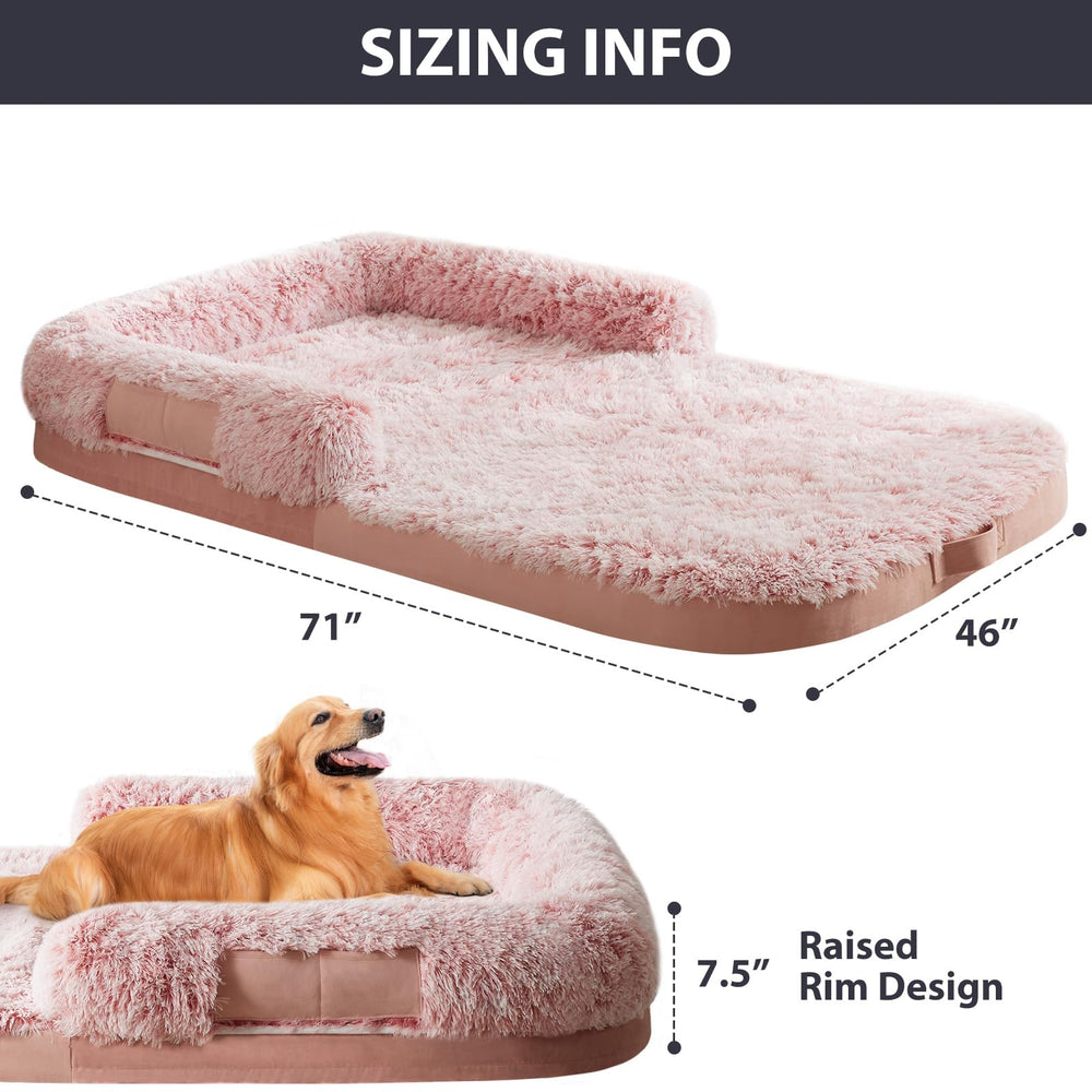BFPETHOME pink living-room setup shows versatile family-friendly use