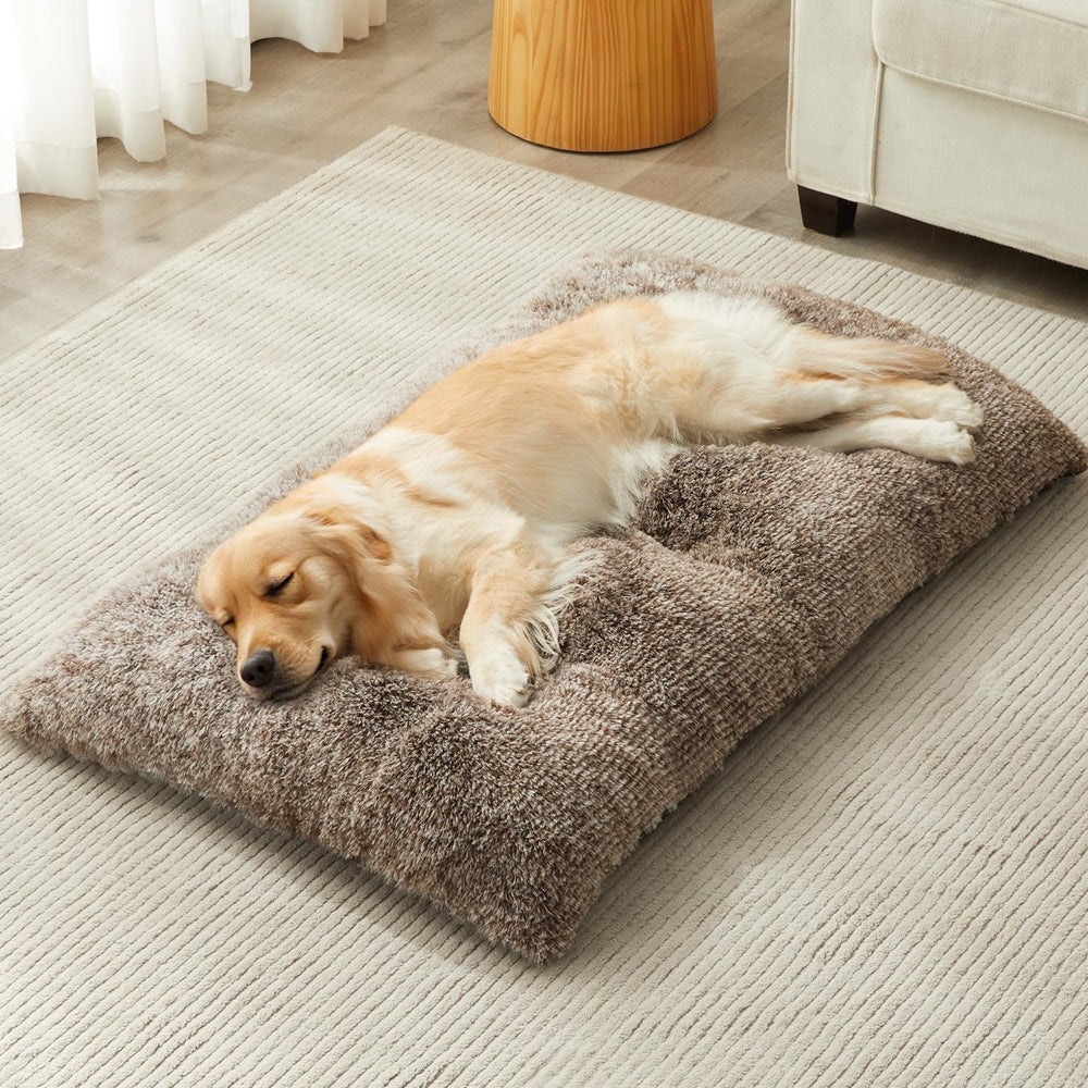 BFPETHOME large dog bed plush surface provides soft warmth for calm naps.