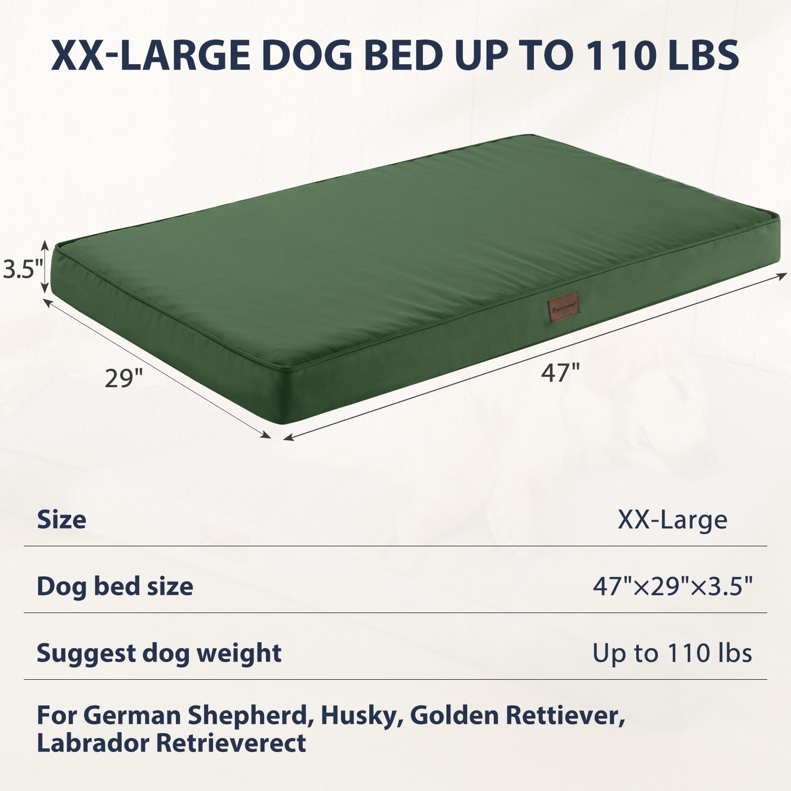 BFPETHOME large-dog-on-bed demonstrates ample space for stretching out.