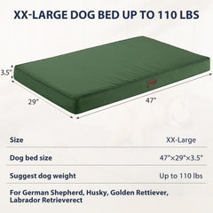 BFPETHOME large-dog-on-bed demonstrates ample space for stretching out.