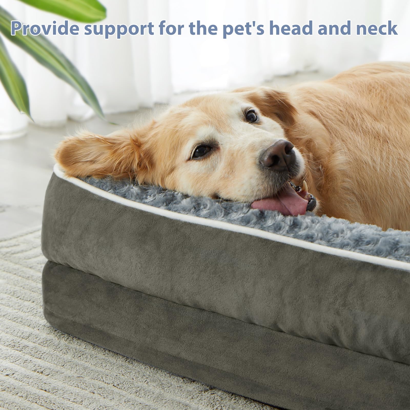 BFPETHOME orthopedic dog bed side view highlighting roomy interior for stretch.