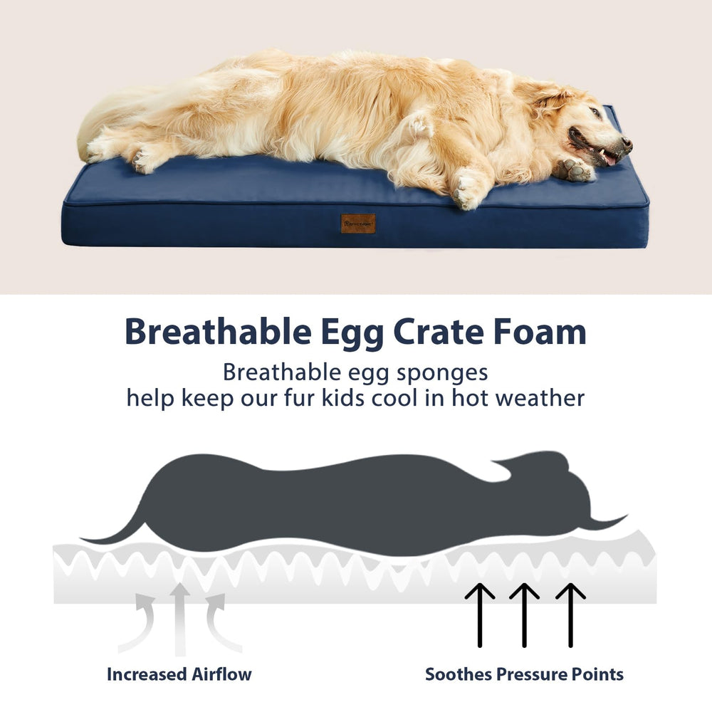 BFPETHOME navy bed with removable cover ready for washing