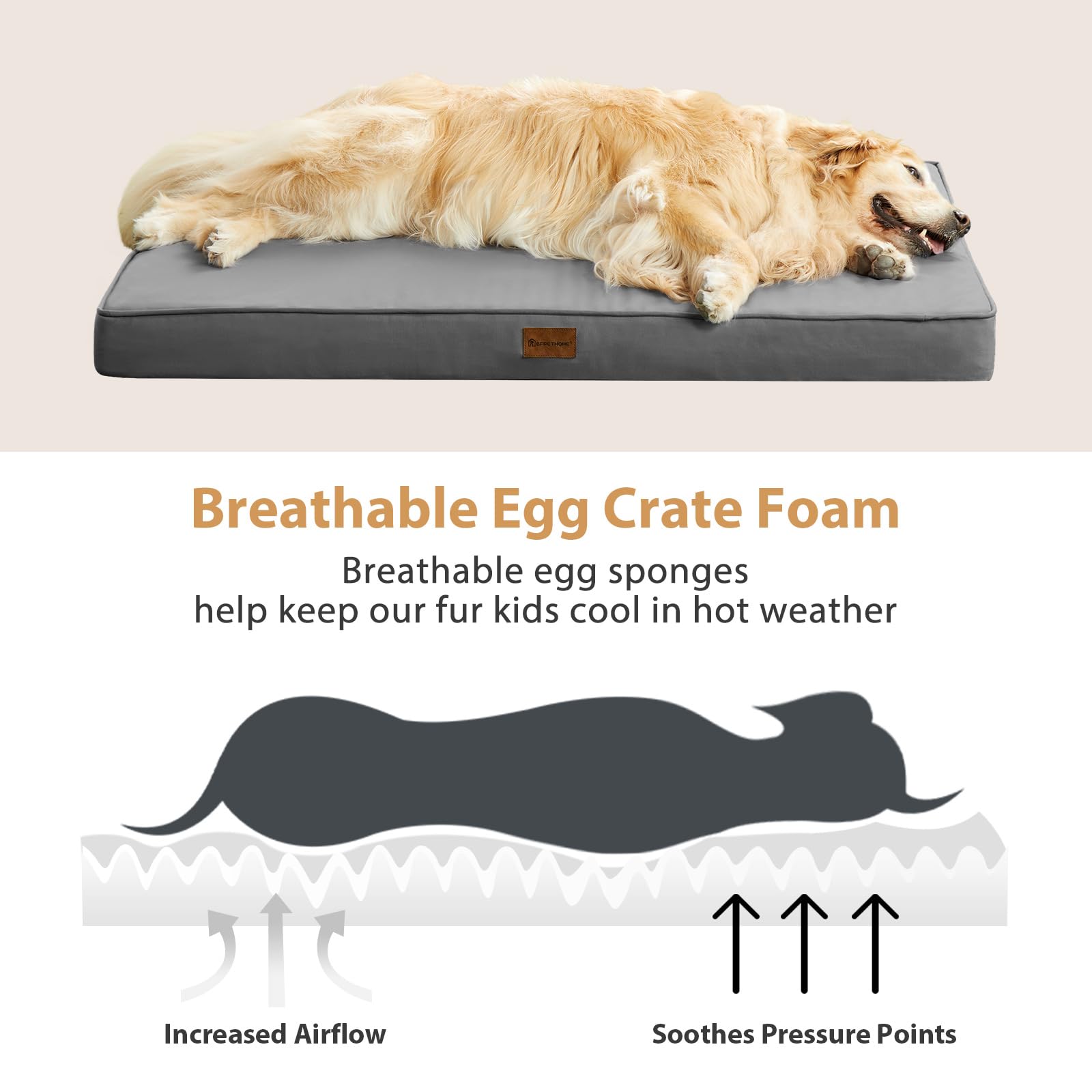 BFPETHOME outdoor dog bed for patio lounging and sun comfort.