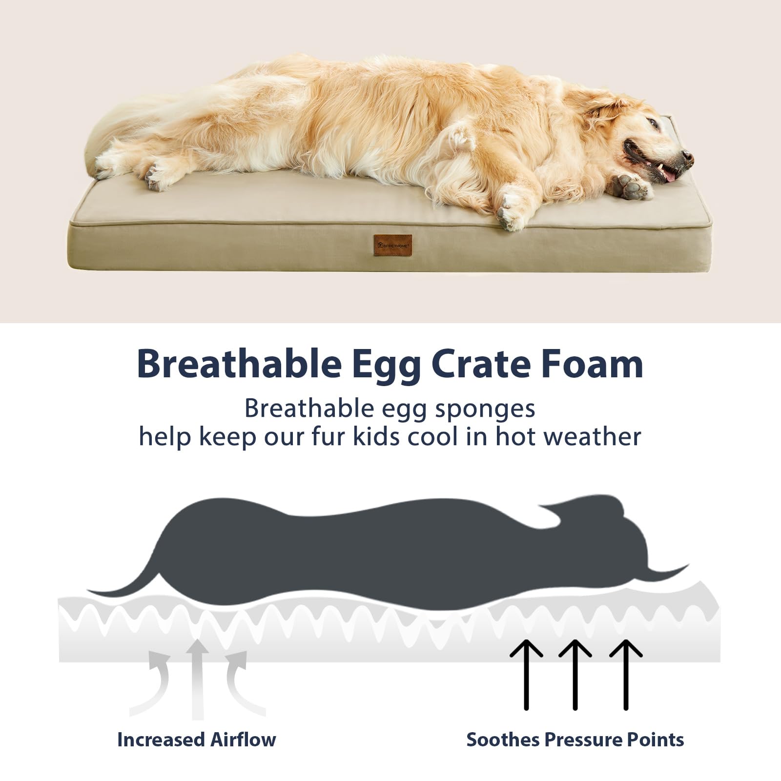 BFPETHOME porch-ready dog bed on a sunny patio