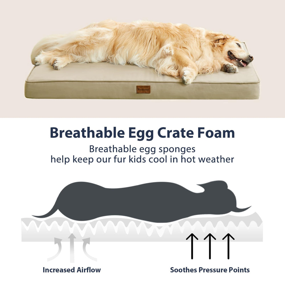BFPETHOME porch-ready dog bed on a sunny patio