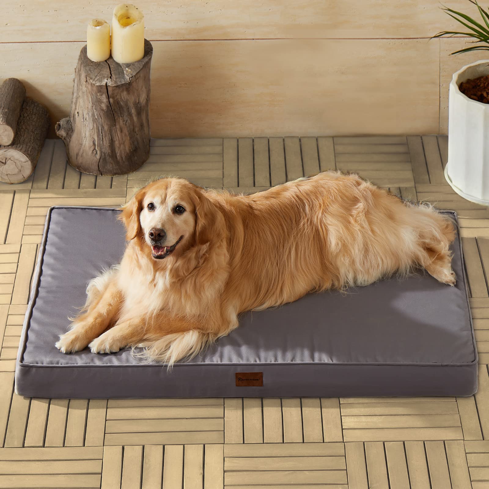 BFPETHOME dog sprawls comfortably on bed outdoors.