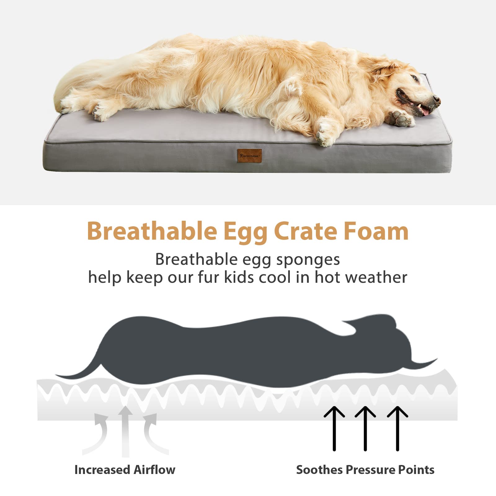 BFPETHOME bed prepared for camping trips demonstrates travel-friendly design.