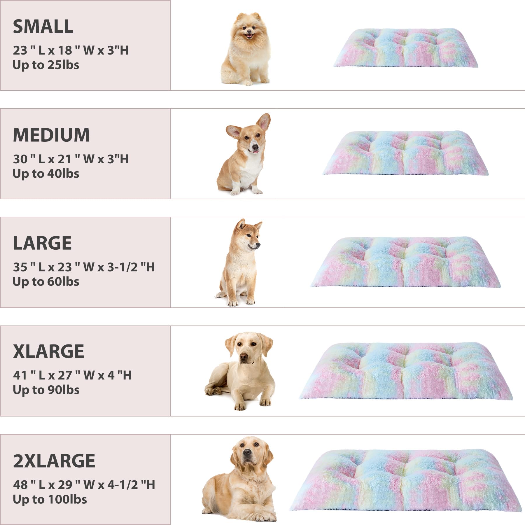 BFPETHOME rainbow bed suits large and medium dogs up to 15 pounds.
