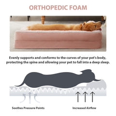 BFPETHOME removable washable cover for easy cleaning
