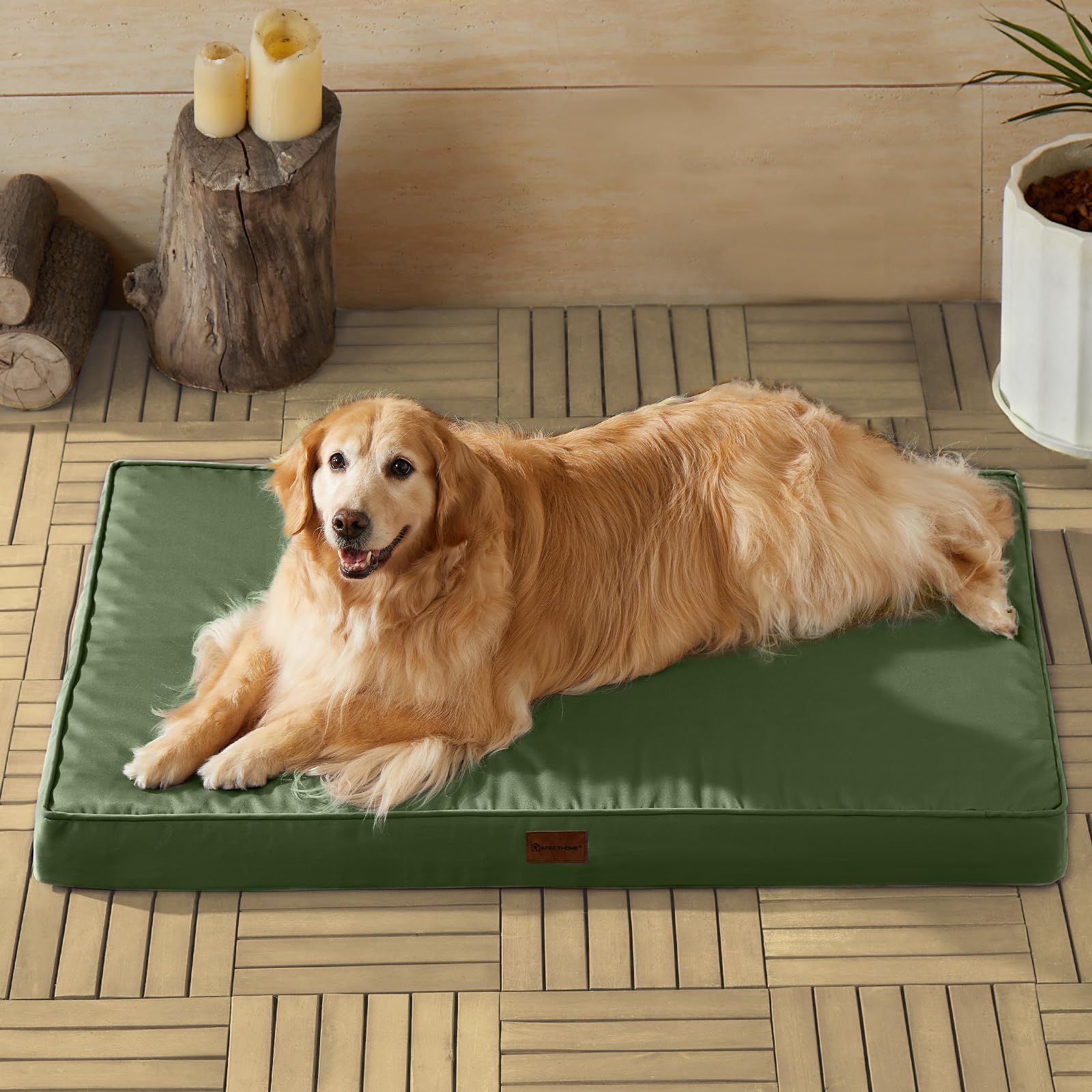 BFPETHOME travel-camping-ready bed keeps dogs comfortable on adventures.