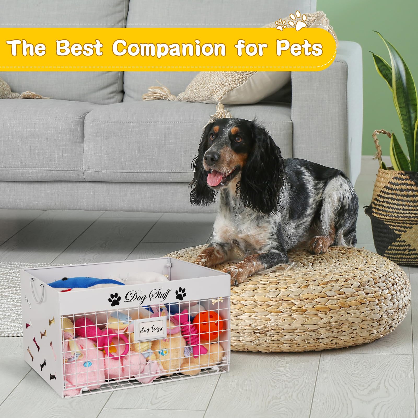 Bfttlity living-room compatible pet storage supports tidy spaces