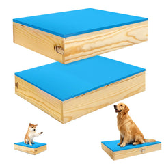 Bhyhok two-dog training platforms in connectable setup support expanded training layouts.