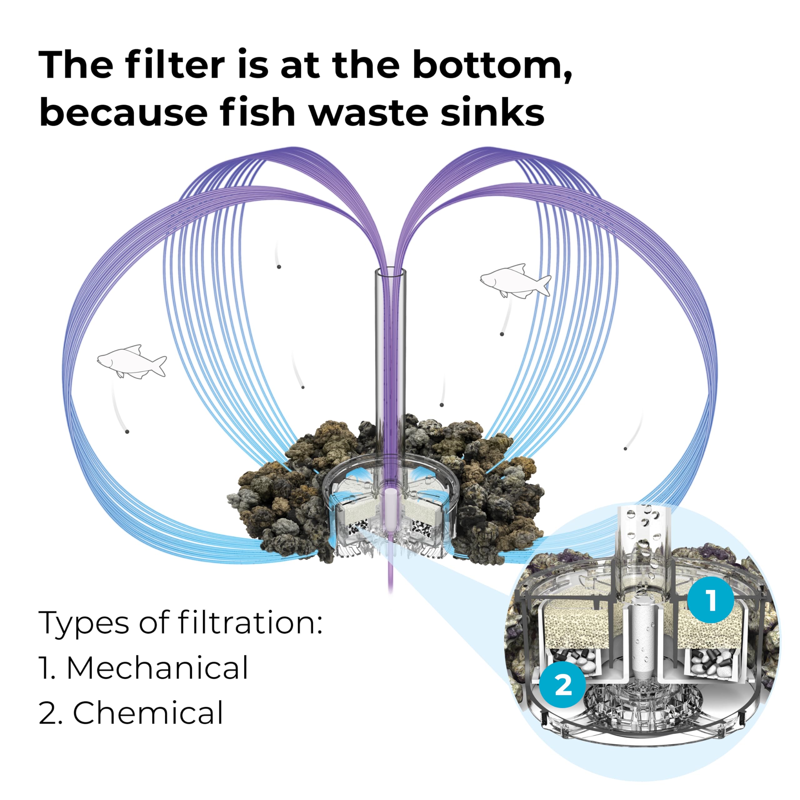 biOrb 5 stage filtration diagram highlighting biological and chemical processes