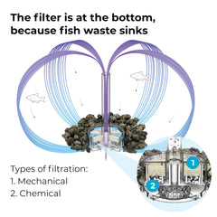 biOrb 5 stage filtration diagram highlighting biological and chemical processes