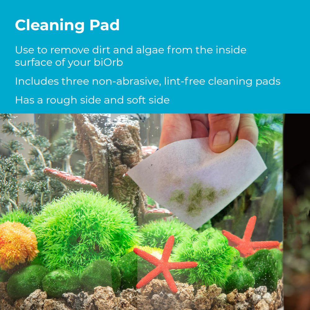 biOrb water optimizer in use showing clearer water