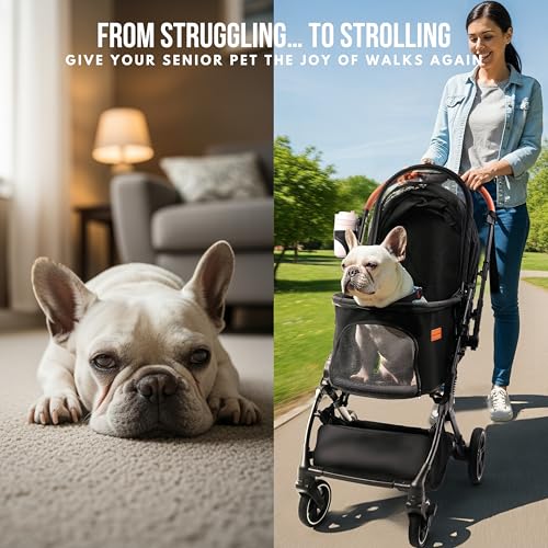 Bicystar pet stroller interior with two small dogs inside for companionship