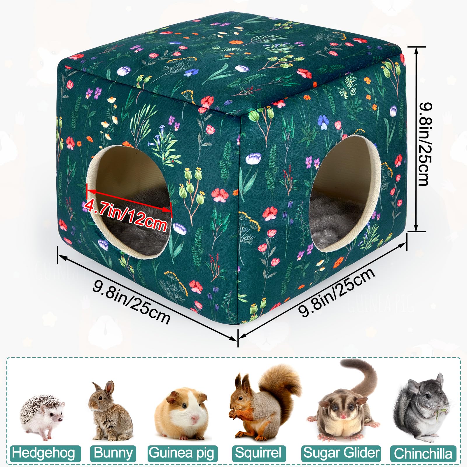 Bienbee dimensiones 25 cm por lado, tamaño ideal para pequeños roedores