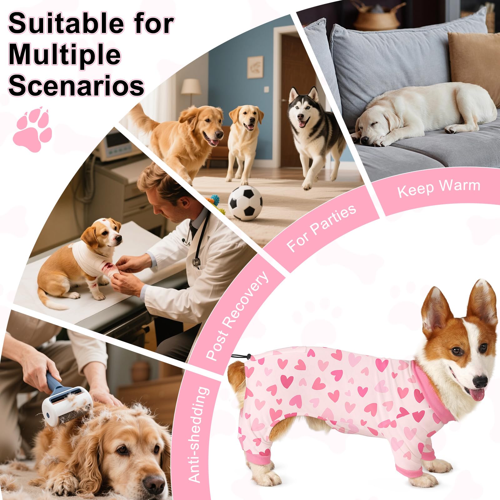 Bienbee dog pajamas adjustable back length for custom fit on different dogs