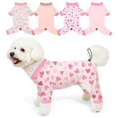 Bienbee dog pajamas set with bright patterns for cute daily wear and photos