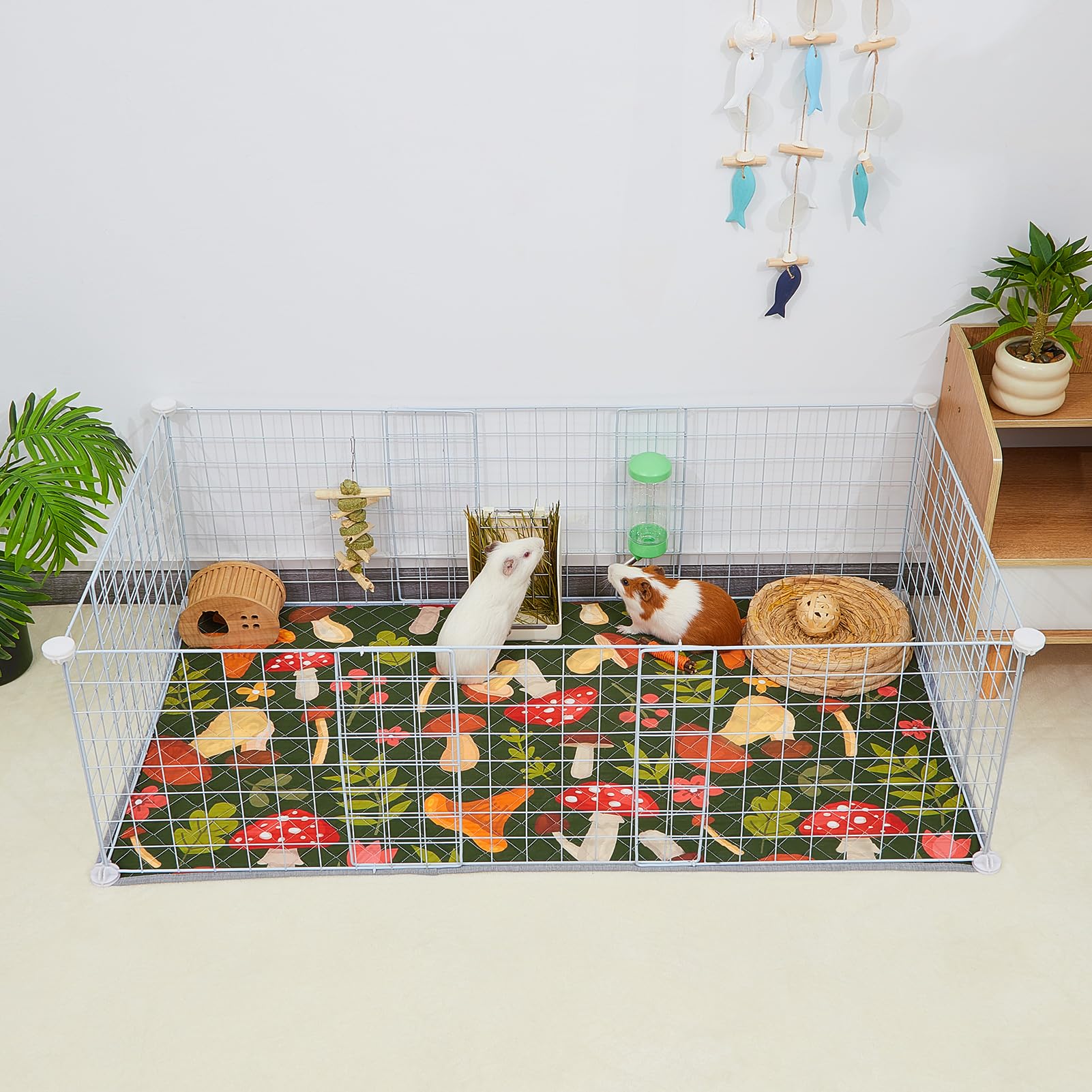 Bienbee Guinea Pig Bedding two-pack setup for easy rotation and quick swaps.