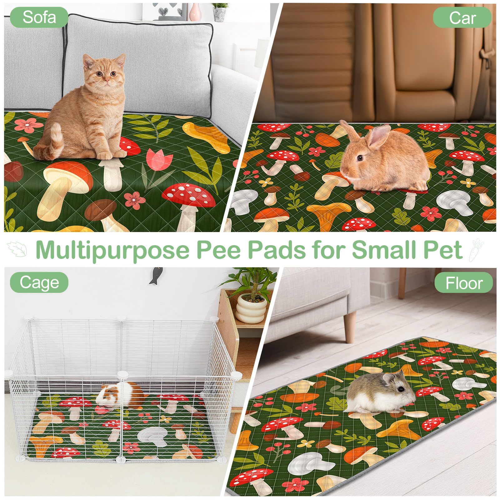 Bienbee Guinea Pig Bedding in-use liner shows a tidy, comfortable pet space.