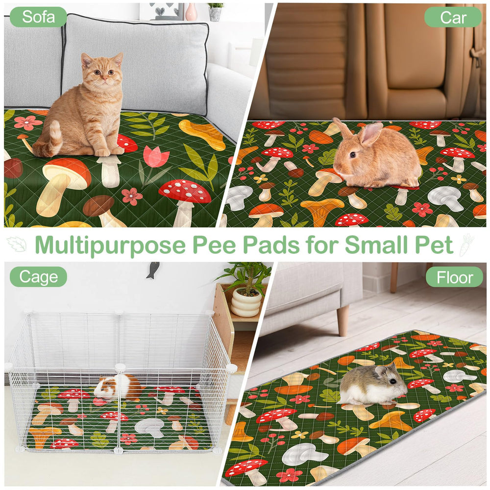 Bienbee Guinea Pig Bedding in-use liner shows a tidy, comfortable pet space.