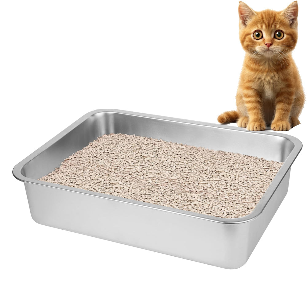 BierBear stainless steel cat litter box interior close-up shows easy-clean non-stick surface