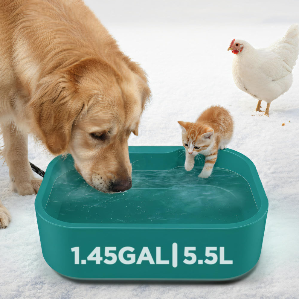 BietrunPro 5.5L water bowl showing large capacity for big dogs.