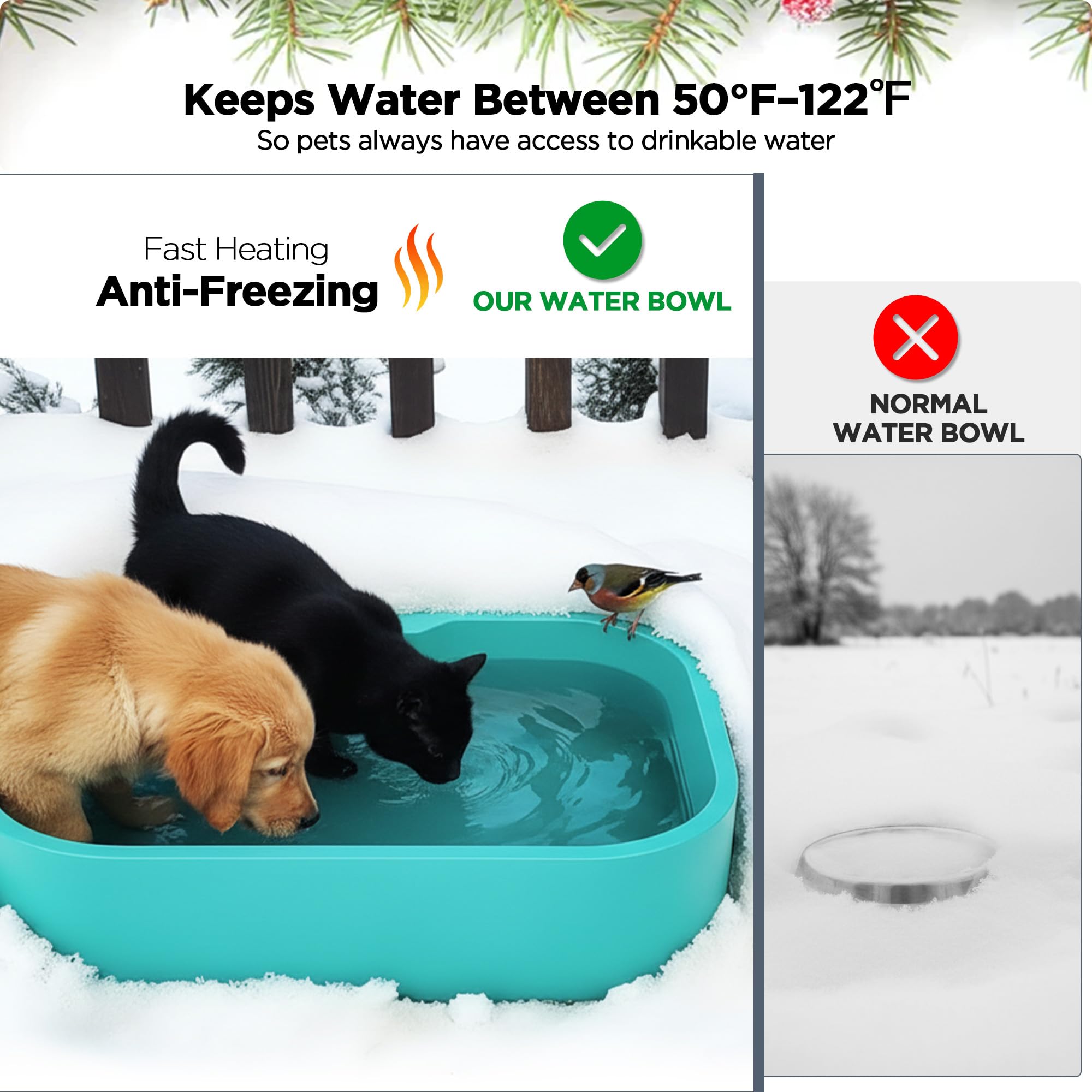 BietrunPro indoor-outdoor use demonstrates versatile placement for pets.