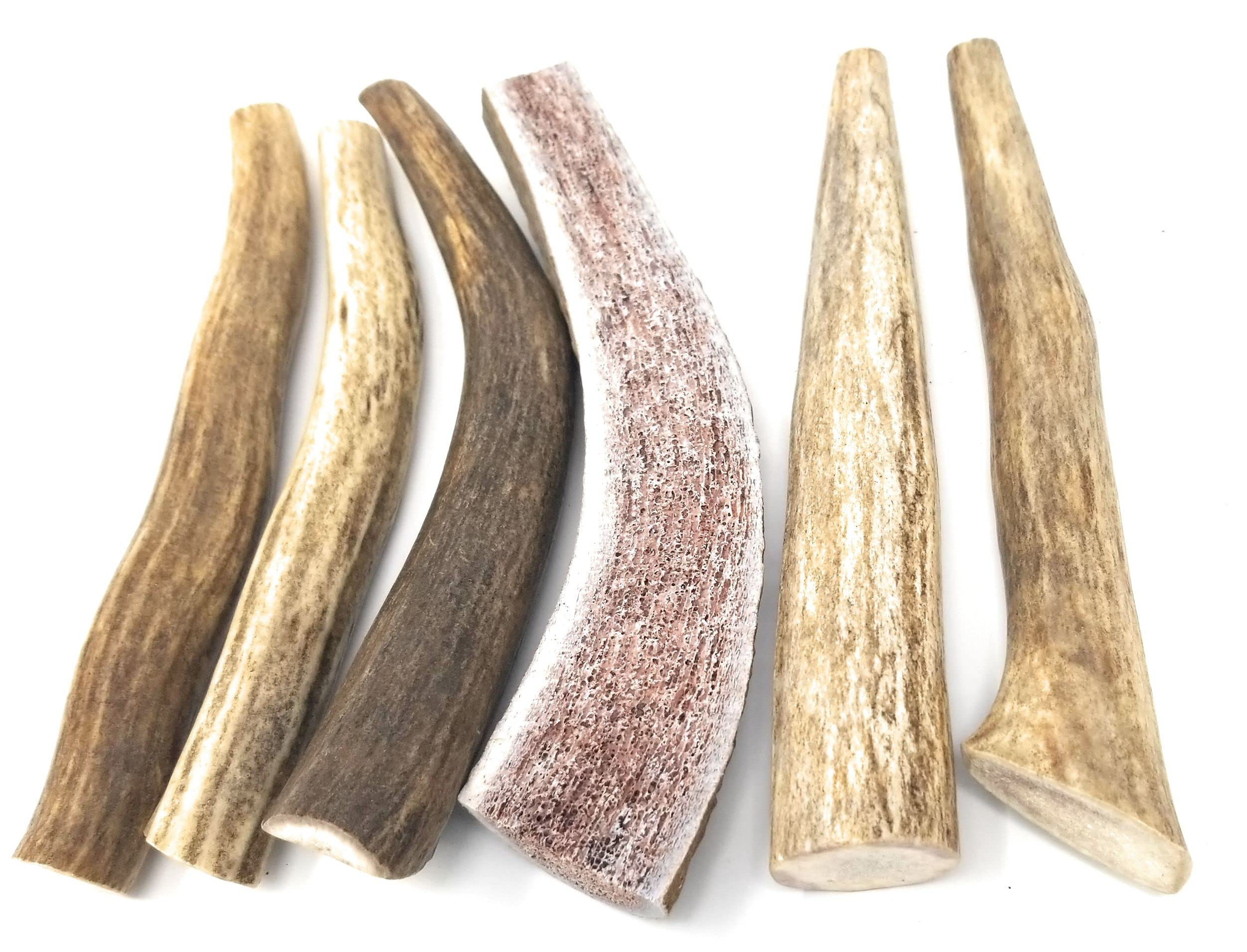 Big Dog Antler Chews four to six inch pieces demonstrate indoor-friendly chews with no greasy mess.