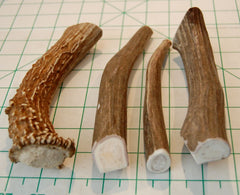 Big Dog Antler Chews six-inch pieces—durable chew for strong chewers.