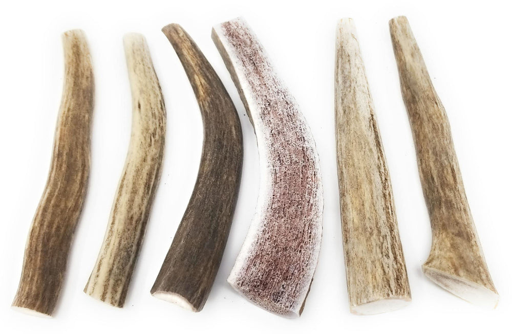 Big Dog Antler Chews deer antlers close-up highlights natural calcium source for tiny dogs.