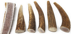 Big Dog Antler Chews elk antlers close-up shows free-range, additive-free sourcing.