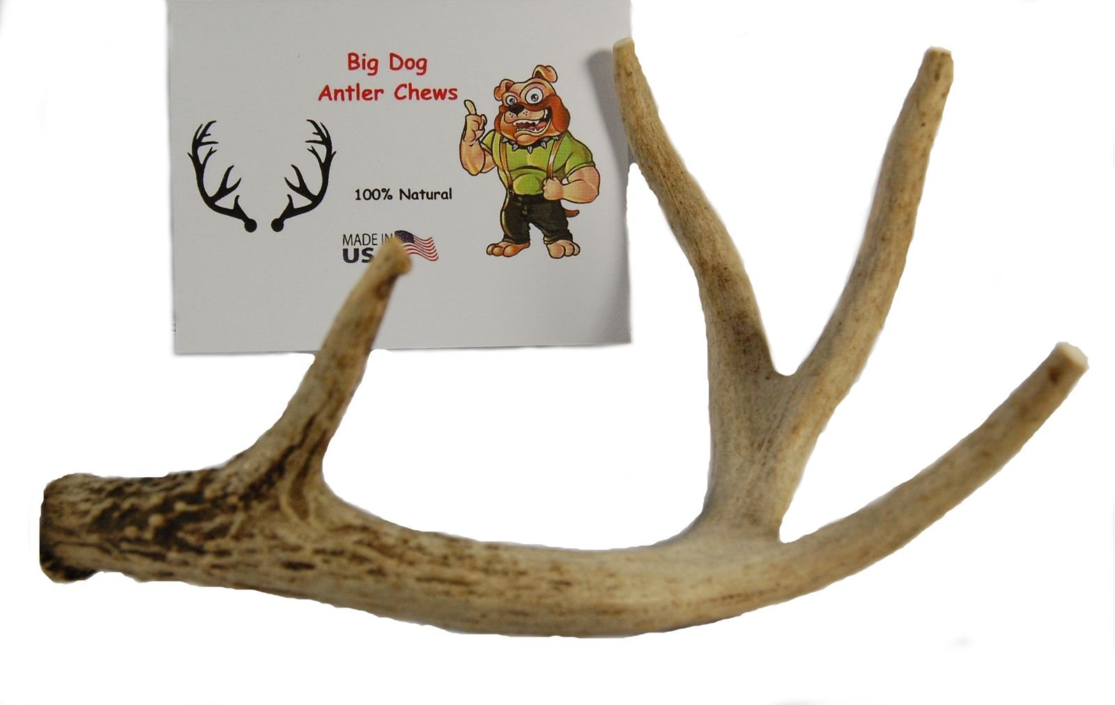 Big Dog Antler Chews indoor-safe, no greasy mess