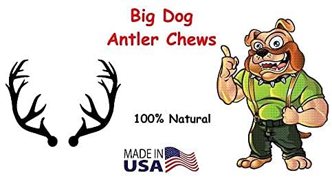 Big Dog Antler Chews indoor-use image promotes long-lasting chews suitable for apartments.