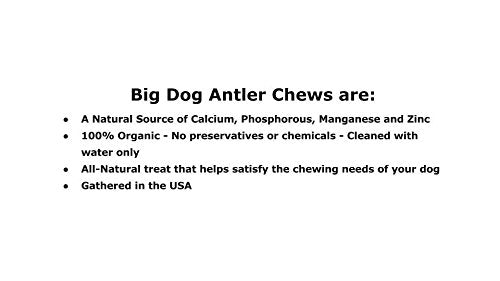 Big Dog Antler Chews ideal for large dogs during play and chew sessions