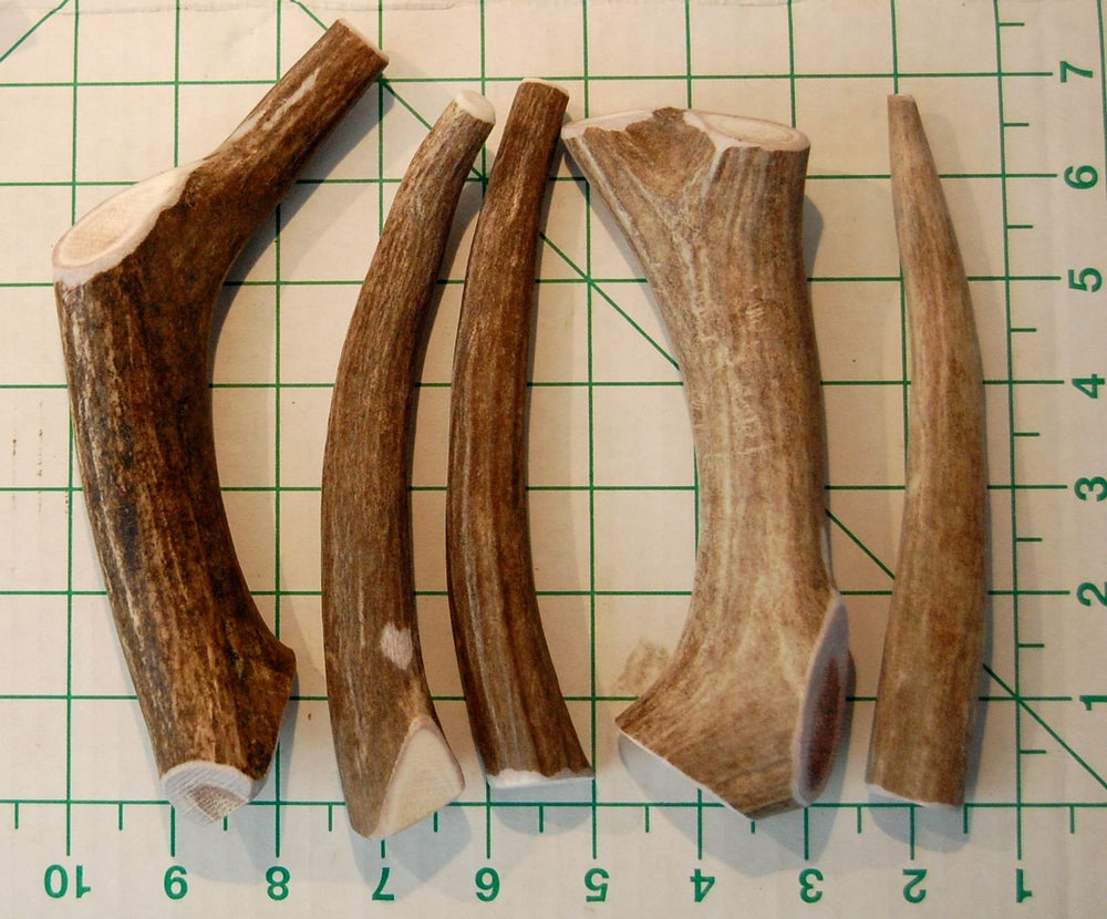 Big Dog Antler Chews natural calcium and minerals—supporting dental tartar control.