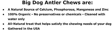 Big Dog Antler Chews no-mess surface shows floors staying clean during chewing sessions.