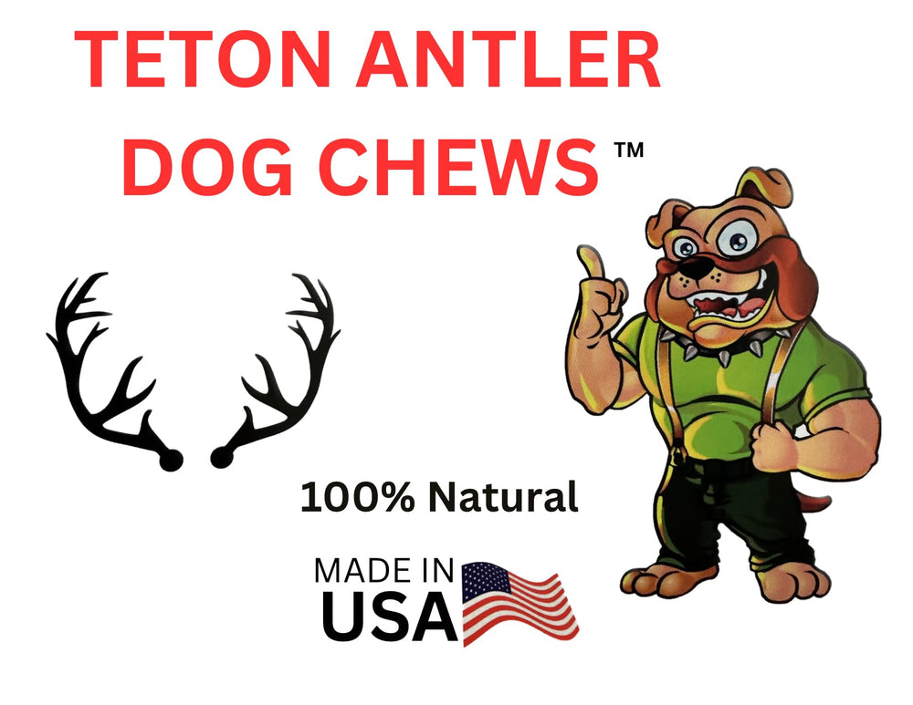 Big Dog Antler Chews no-odor indoor use prevents floor mess