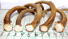 Big Dog Antler Chews sanded smooth edges for safe chewing.