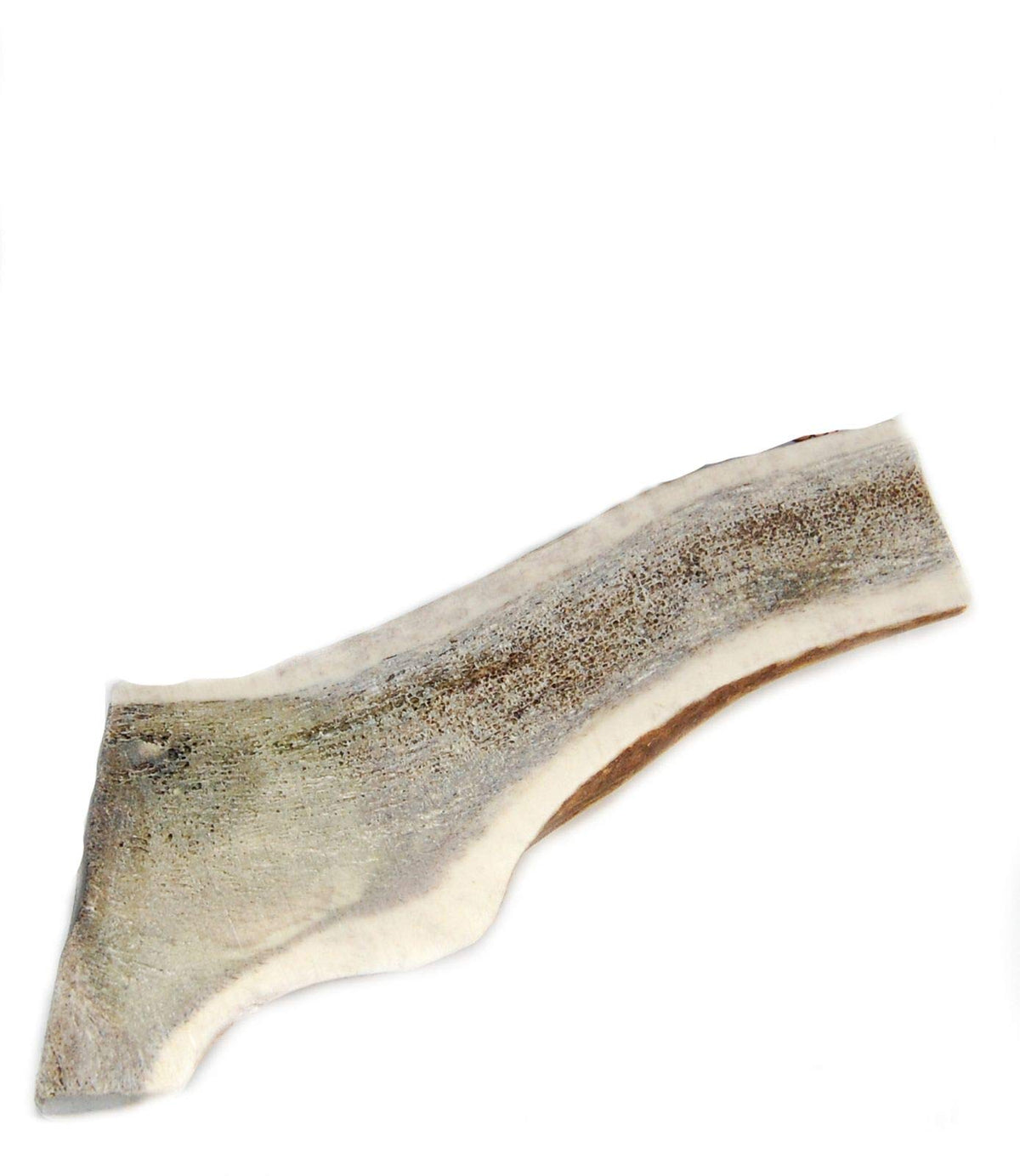 Big Dog Antler Chews split-elk-antler xlarge 6-8 inch piece showing marrow for strong chewers