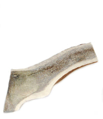 Big Dog Antler Chews split-elk-antler xlarge 6-8 inch piece showing marrow for strong chewers
