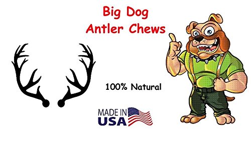 Big Dog Antler Chews sanded edges prevents sharp-edge harm during chewing