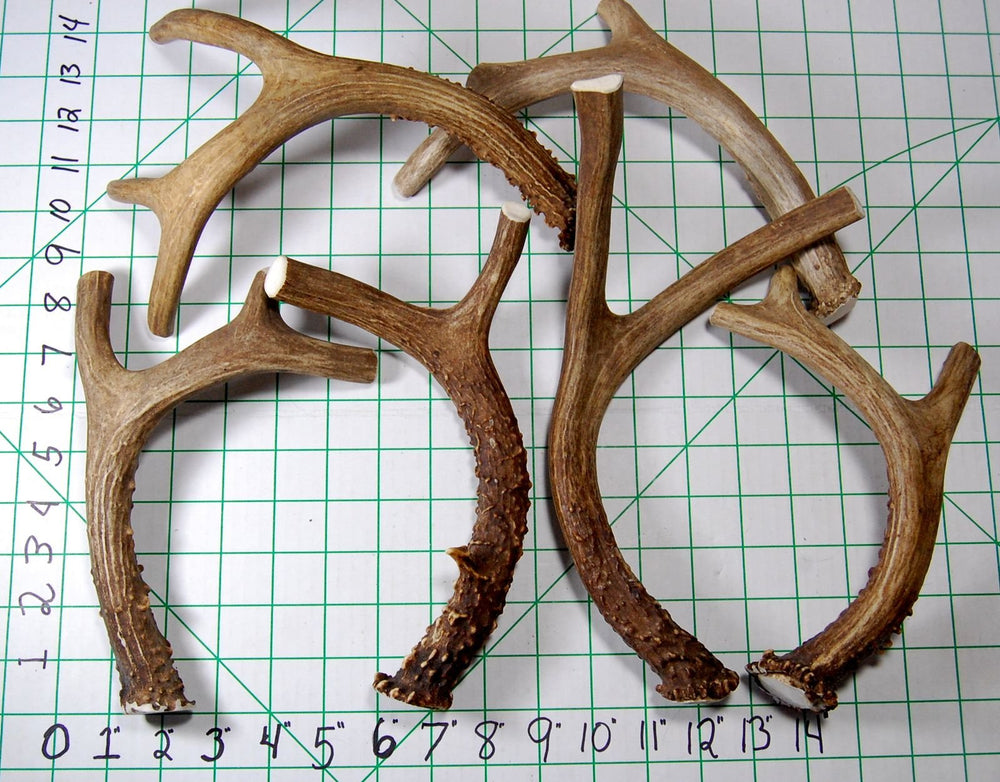 Big Dog Antler Chews USA-sourced deer antler with natural minerals.