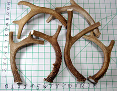 Big Dog Antler Chews USA-sourced deer antler with natural minerals.