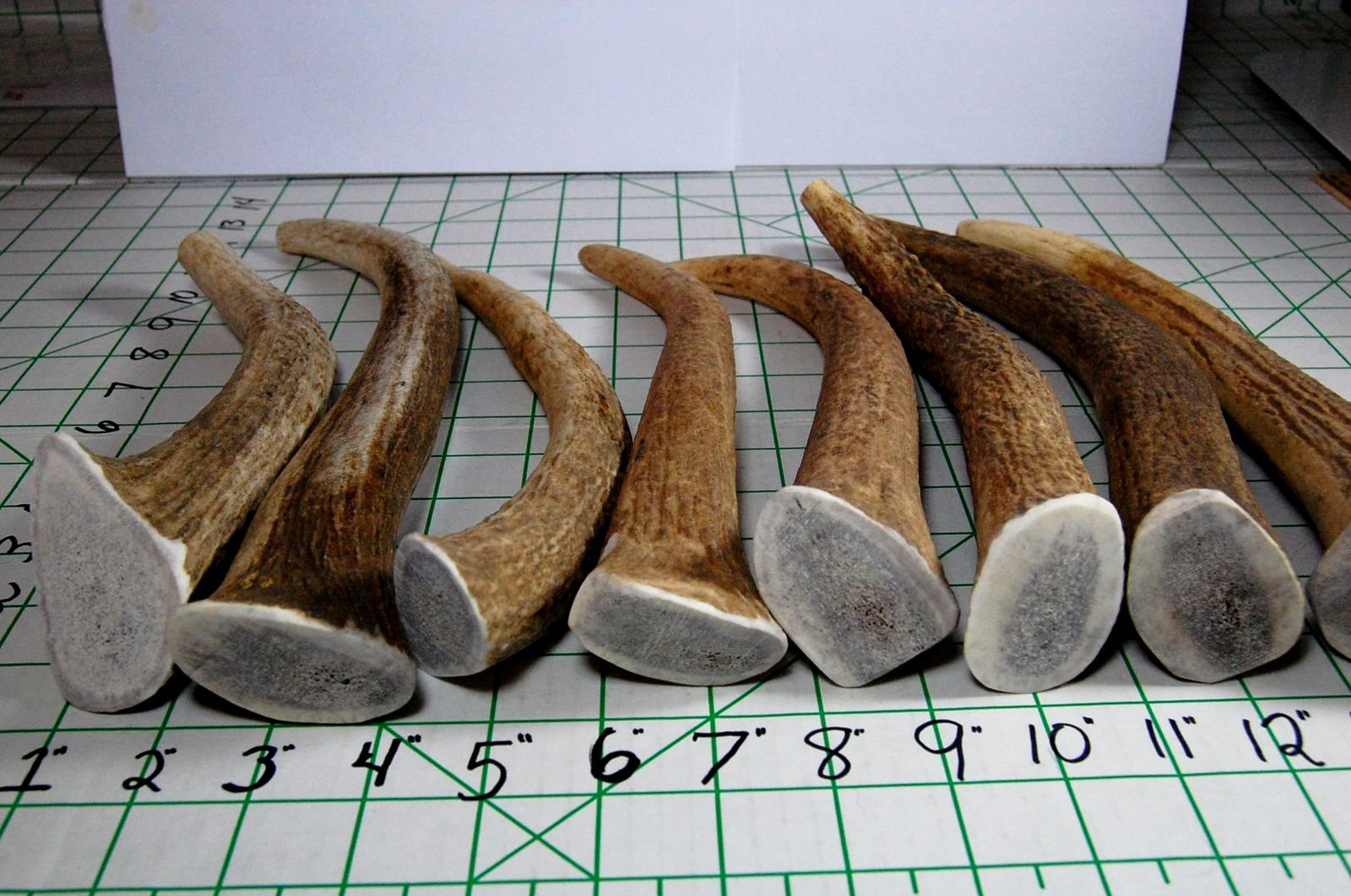 Big Dog Antler Chews USA-sourced elk antlers natural minerals