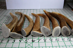 Big Dog Antler Chews USA-sourced elk antlers natural minerals