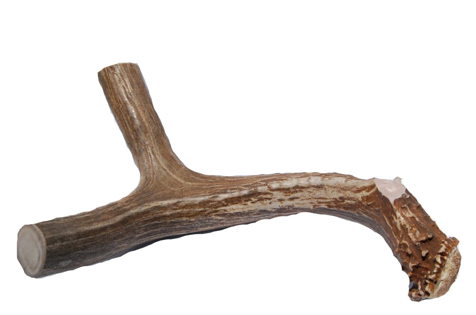 Big Dog Antler Chews XL antler cut sides for safe biting