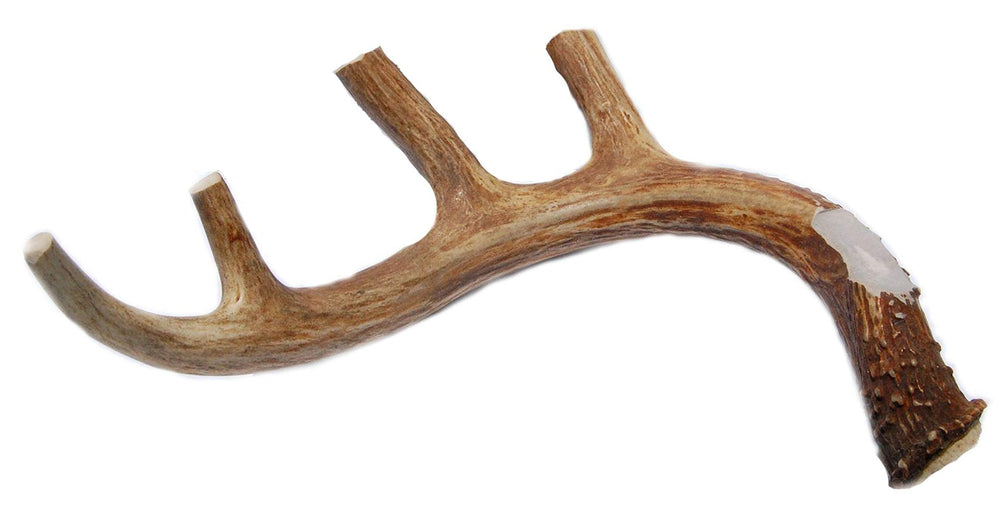 Big Dog Antler Chews XL deer antler whole for long-lasting indoor chew